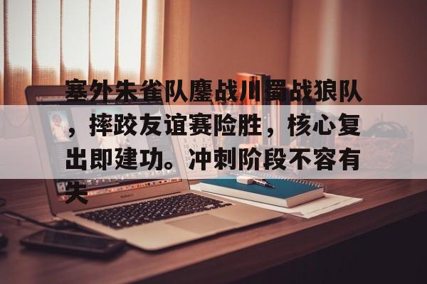 Kaiyuan开元-塞外朱雀队鏖战川蜀战狼队，摔跤友谊赛险胜，核心复出即建功。冲刺阶段不容有失的简单介绍